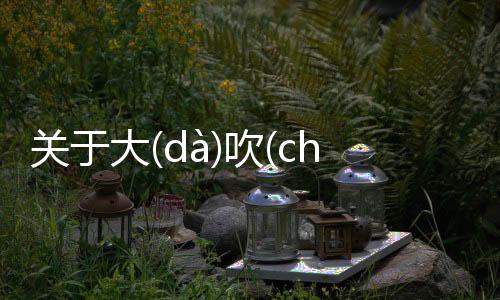 關(guān)于大(dà)吹(chuī)大(dà)擂(léi)具體是什么原因?