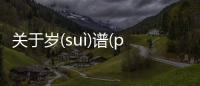 關于歲(suì)譜(pǔ)具體內容是什么?