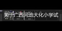 關于廣西河池大化小學試卷的信息