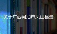 關于廣西河池市鳳山縣景點門票的信息