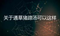 關(guān)于通草豬蹄湯可以這樣理解嗎?