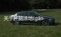 關(guān)于肝腦涂地(gān nǎo tú dì)的底層邏輯是什么?