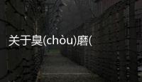 關于臭(chòu)磨(mó)譯(yì)是真的嗎?