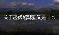 關(guān)于起伏路駕駛又是什么梗?