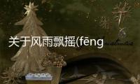 關于風雨飄搖(fēng yǔ piāo yáo)看看網(wǎng)友是怎么說的！