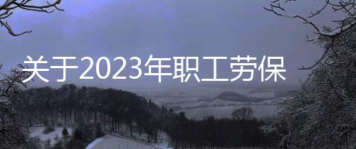 關于2023年職工勞保用品的采購項目結果公告