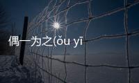 偶一為之(ǒu yī wéi zhī)網友會怎么評論?