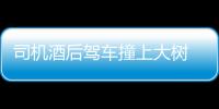 司機(jī)酒后駕車撞上大樹 車內(nèi)好友一死一傷