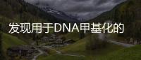 發現用于DNA甲基化的新型遺傳傳感器