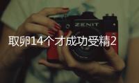 取卵14個才成功受精2個別慌，找準原因試管成功率不低
