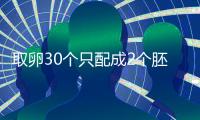 取卵30個只配成2個胚胎別放棄！卵巢傷口小移植成功率不低