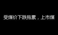 受煤價下跌拖累，上市煤企業(yè)績下滑