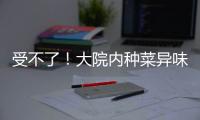 受不了！大院內種菜異味難聞居民抱怨