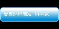 受自然界啟發  科學家開發可殺滅超級細菌的納米材料