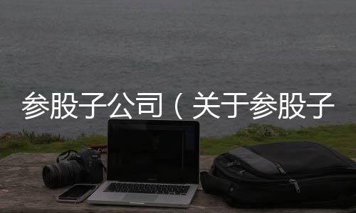 參股子公司（關于參股子公司的基本情況說明介紹）