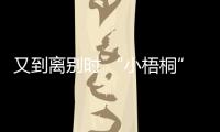 又到離別時 “小梧桐”與烏鎮(zhèn)說再見