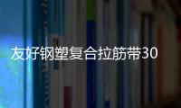 友好鋼塑復合拉筋帶30020B廠家采購供應