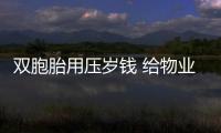 雙胞胎用壓歲錢 給物業防疫人員送溫暖