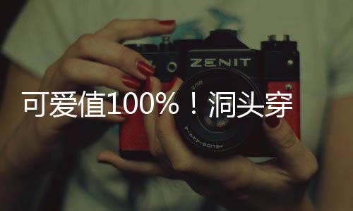 可愛值100%！洞頭穿“多巴胺”毛衣的大樹，你合影了嗎？