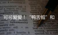 可可愛愛！“鴨舌帽”和“小黃帽”打卡三一重卡