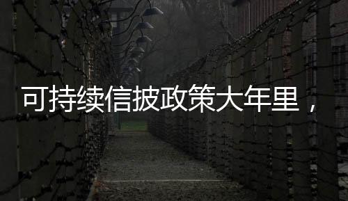 可持續信披政策大年里，ESG市場“冷暖自知”｜2024中國經濟年報