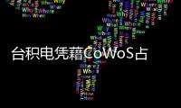 臺積電憑藉CoWoS占據先進封裝市場，傳統封測廠商如何應戰？