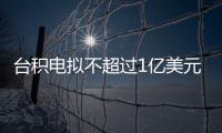 臺積電擬不超過1億美元額度認(rèn)購Arm股票