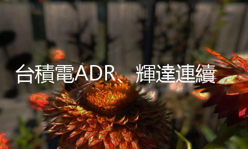 臺積電ADR、輝達(dá)連續(xù)走跌，牛市會繼續(xù)嗎？｜天下雜誌