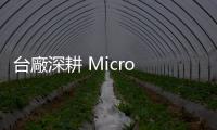 臺廠深耕 Micro LED 見效，有望打破中韓宰制面板