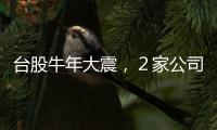 臺股牛年大震，２家公司領不領漲是指標｜天下雜誌