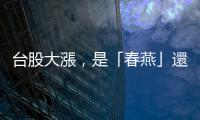 臺股大漲，是「春燕」還是「泡沫」？｜天下雜誌