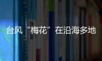 臺(tái)風(fēng)“梅花”在沿海多地帶來(lái)狂風(fēng)大雨 浙江一中學(xué)操場(chǎng)上游來(lái)一條魚(yú)