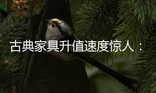 古典家具升值速度驚人：清早期的黃花梨南官帽椅