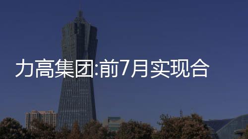 力高集團:前7月實現合約銷售約147.81億元