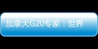 加拿大G20專家：世界期待杭州峰會(huì)引領(lǐng)全球經(jīng)濟(jì)走出低谷