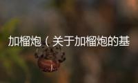 加榴炮（關于加榴炮的基本情況說明介紹）