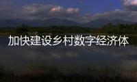 加快建設鄉村數字經濟體系