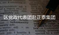 區(qū)黨政代表團赴正泰集團考察