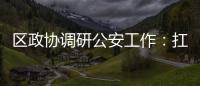 區政協調研公安工作：扛起使命擔當 持續擦亮“平安洞頭”金名片