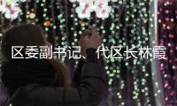 區(qū)委副書記、代區(qū)長(zhǎng)林霞繼續(xù)參加各代表團(tuán)討論