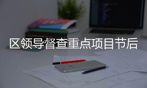 區領導督查重點項目節后復工建設情況