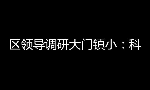 區領導調研大門鎮小：科學規劃 加快建設