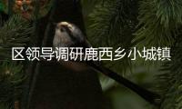 區領導調研鹿西鄉小城鎮環境綜合整治和花園村莊建設