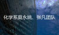 化學系夏永姚、張凡團隊合作開發自充電鹽水電池用于治療實體瘤