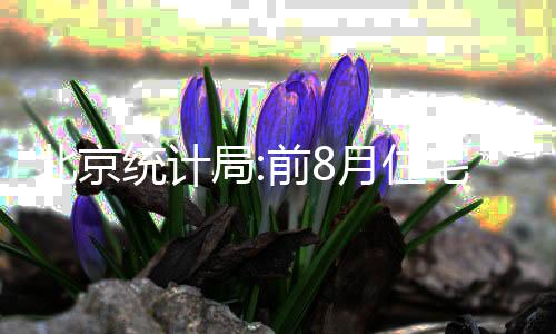 北京統計局:前8月住宅銷售面積450萬平,同比降20.2%