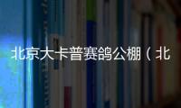 北京大卡普賽鴿公棚（北京卡普信鴿公棚）