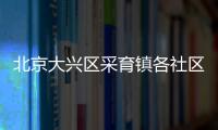 北京大興區采育鎮各社區報備電話匯總