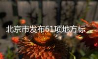 北京市發布61項地方標準 大型游樂設施等規范將惠及京津冀三地消費者