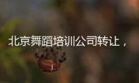 北京舞蹈培訓公司轉讓，轉讓北京舞蹈培訓公司