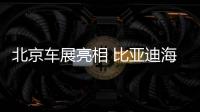 北京車展亮相 比亞迪海豹設計手稿曝光